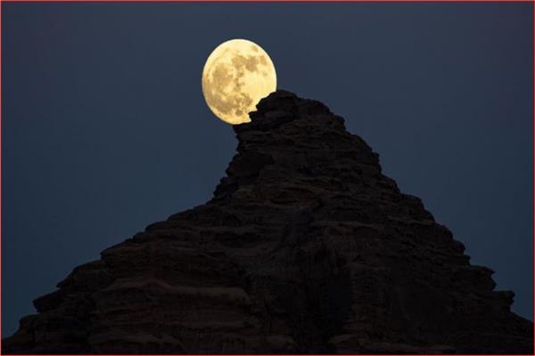 موضوعية