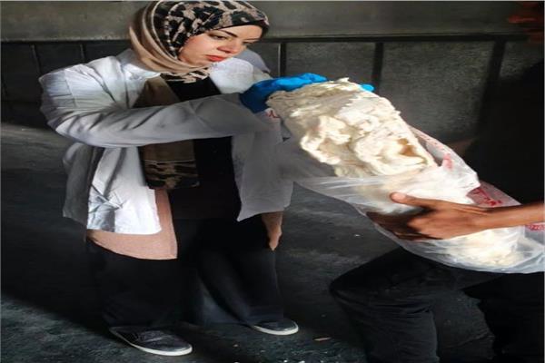 حملة الطب البيطري