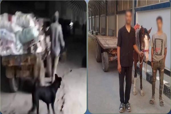 ضبط المتهمين بإلقاء مخلفات في المرج 