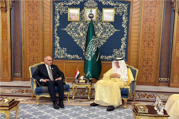 وزير الري يبحث مع نظيره السعودي