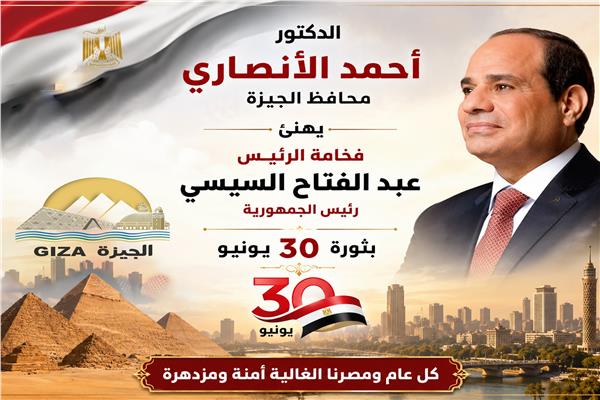 الرئيس عبد الفتاح السيسي
