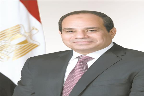 الرئيس عبدالفتاح السيسى