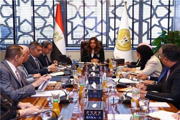 الدكتورة منال عوض وزيرة التنمية المحلية والبيئة