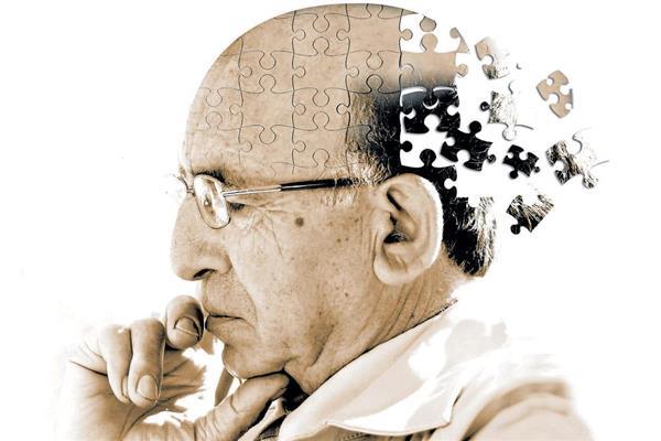 صورة موضوعية