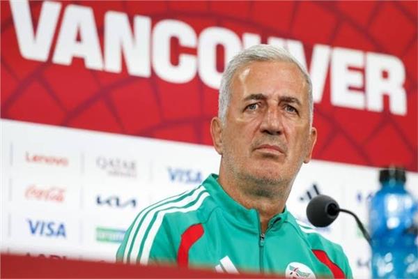 فلاديمير بيتكوفيتش