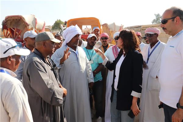 محافظة الجيزة تتابع منظومة ركوب الخيل 