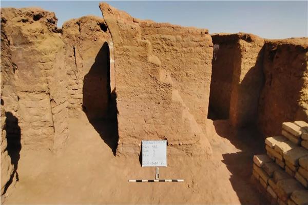 صورة موضوعية