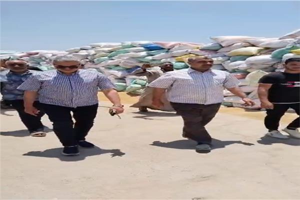 صورة موضوعية