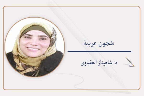 د: شاهيناز العقباوى