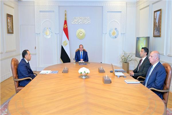 الرئيس السيسي خلال الاجتماع