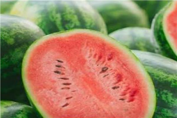 ثمرة البطيخ