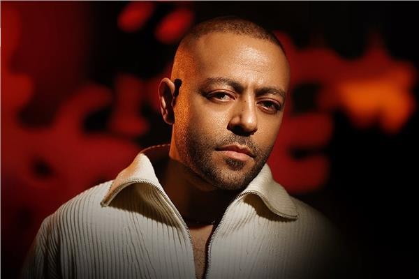 الفنان تامر عاشور