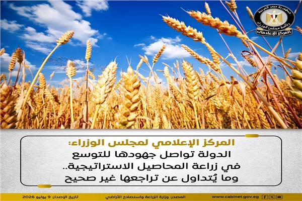 المركز الإعلامي لمجلس الوزراء