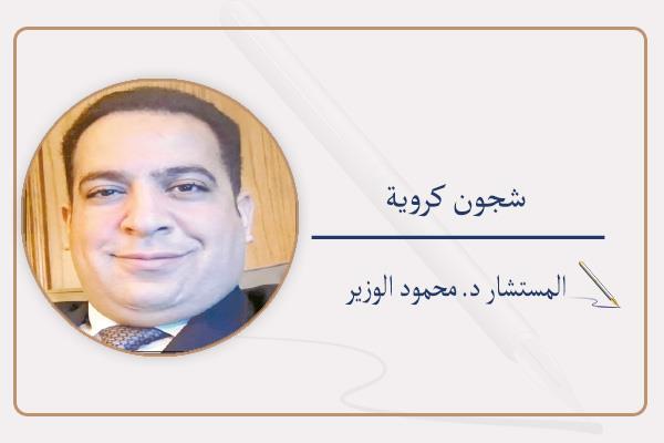 المستشار د. محمود الوزير