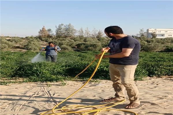 دعم ميداني للمزارعين بشمال سيناء 