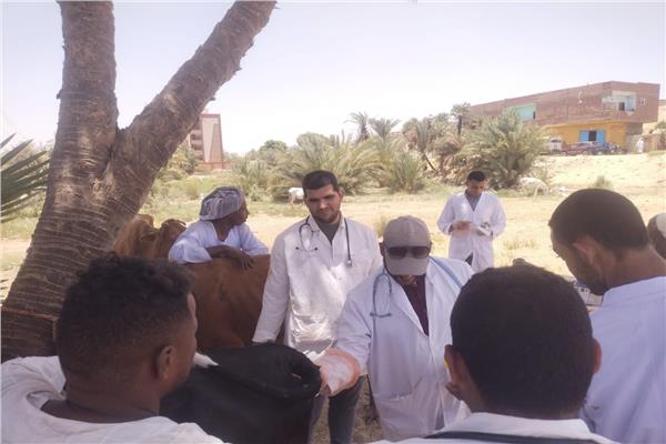 صورة موضوعية