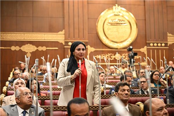 عضو بالشيوخ: احتفاء الرئيس السيسي بالمنتخب يؤسس لمرحلة جديدة في اكتشاف المواهب وصناعة الأبطال