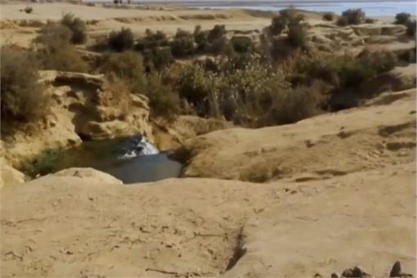 محميات طبيعية