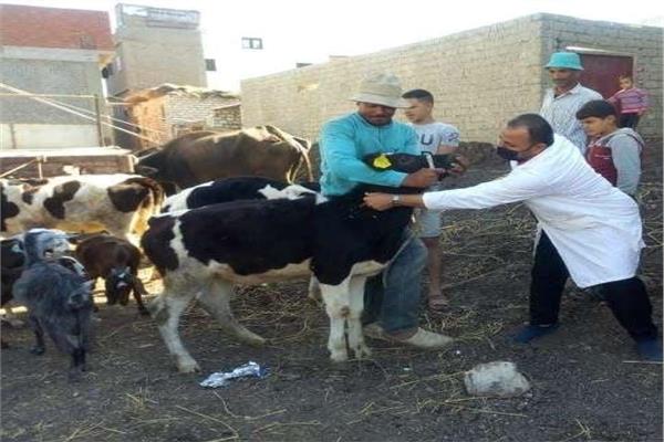 بيطري الشرقية