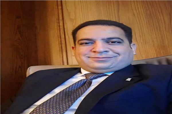 المستشار الدكتور محمود الوزير 