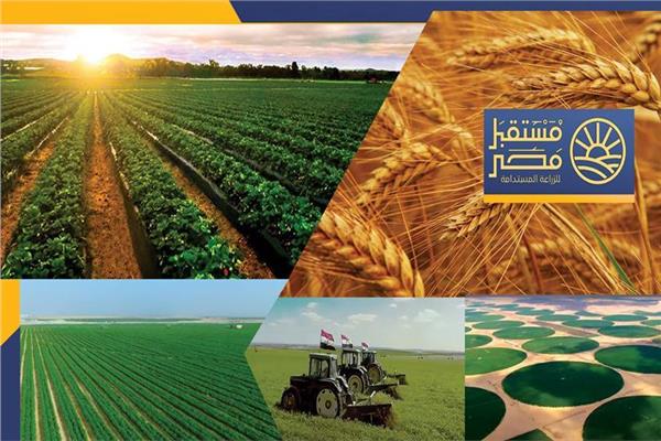 مشروعات جهاز مستقبل مصر - ارشيفية
