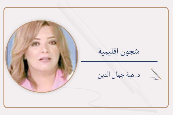 د. هبة جمال الدين