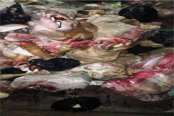 صورة موضوعية 