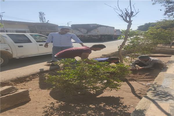 تكثيف أعمال التشجير والتجميل بشوارع وميادين الشرقية