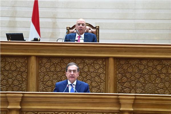 مجلس النواب