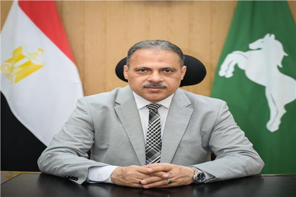 محافظ الشرقية