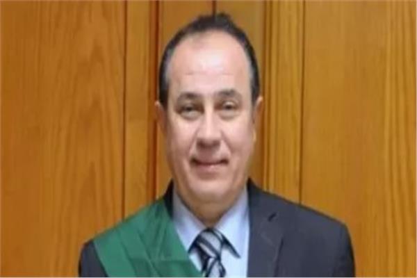 المستشار وجدي عبد المنعم