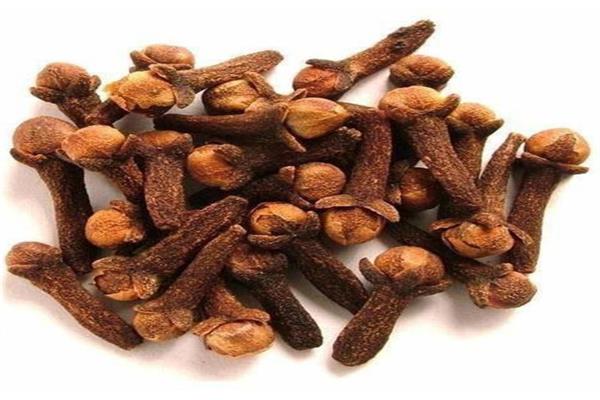 القرنفل