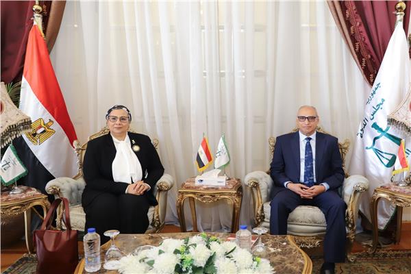 المستشار محمود أبو الدهب و المستشارة أمل عمار