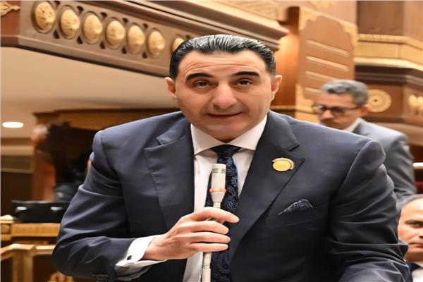 النائب الدكتور السعيد غنيم وكيل لجنة الصناعة بمجلس الشيوخ