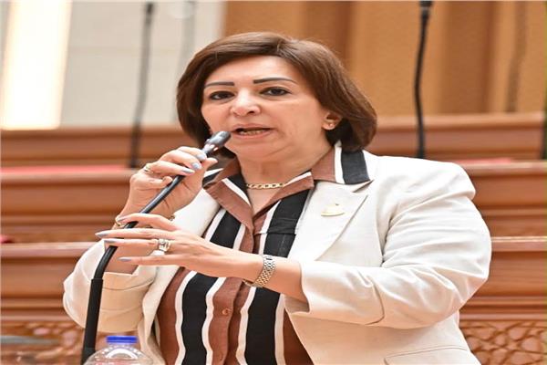  مها عبد الناصر، عضو مجلس النواب