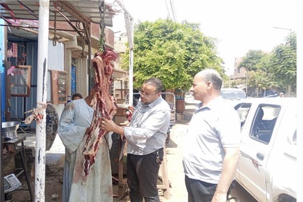 ضبط لحوم وأسماك وألبان وأغذية فاسدة