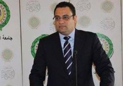  الوزير المفوض محمود عفيفى المتحدث الرسمى