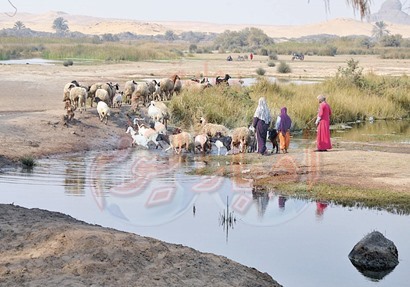 بحيرة دهشور