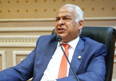 محمد فرج عامر
