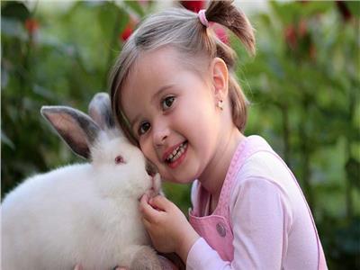 نصائح منزلية | كيفية تربية الأرانب في المنزل