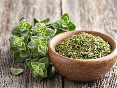 أبرزها علاج حب الشباب.. تعرف على فوائد الزعتر الصحية