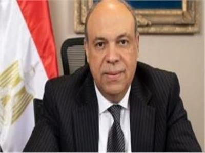 إطلاق اسم مجدي يعقوب على مطار أسوان صعب.. وزير الطيران يوضح السبب