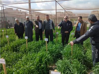 رئيس «البحوث الزراعية»: تعظيم الاستفادة من إمكانيات محطة بحوث سخا