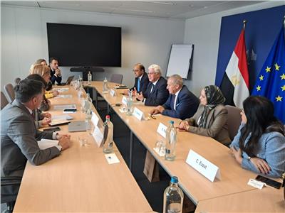 وزير التعليم العالي يؤكد على أهمية الشراكة بين مصر والاتحاد الأوروبي 