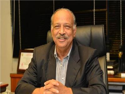 برلماني: الدبلوماسية المصرية خلقت رأي عام رافض للتهجير