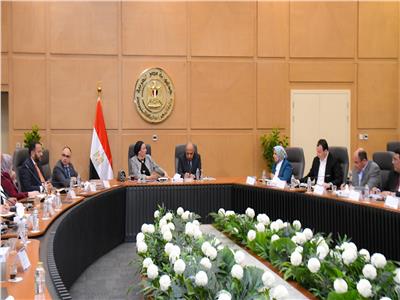 وزيرا «الكهرباء والبيئة» يبحثان التعاون في قضايا البيئة والطاقة المتجددة