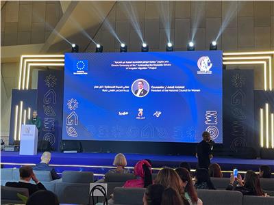 القومي للمرأة يثمن جهود «التضامن» بمشروع معالجة دوافع الهجرة غير الشرعية