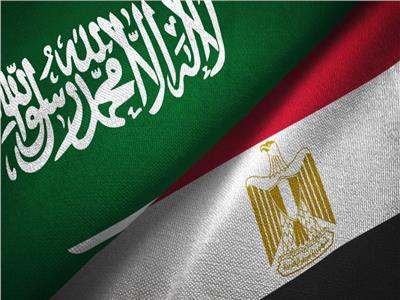 عبد المنعم سعيد: الاستقرار في مصر والسعودية نتاج قرار وطني ينبذ التفرقة الطائفية