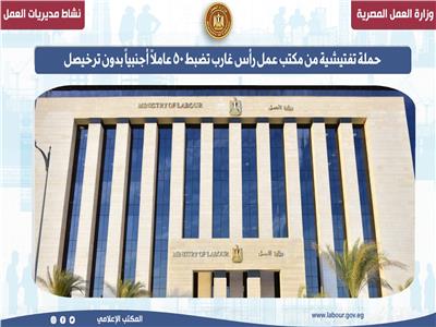 تدريبات وبرامج تأهيل للشباب.. أبرز حصاد العمل بالمحافظات 
