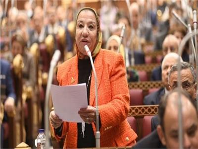 برلمانية: مصر قوية وتتعامل بالمثل في علاقاتها الدولية